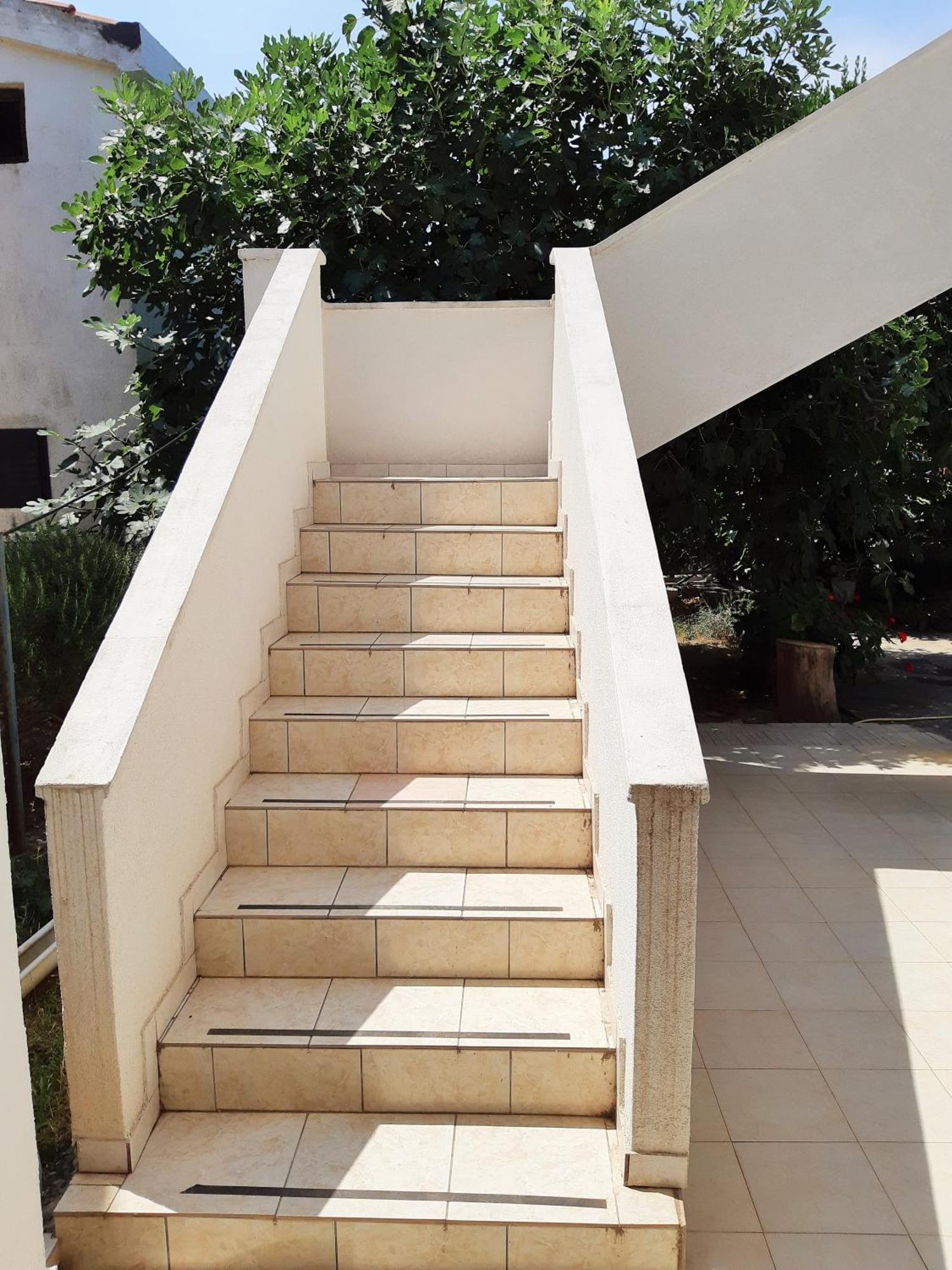 Dalmatino Apartmani Vir Zimmer foto